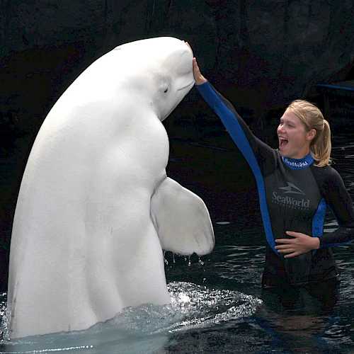 Barbados Beach Club All Inclusive Resort