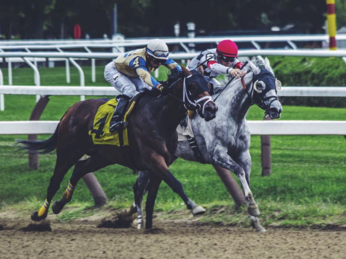 Barbados Beach Club All Inclusive Resort